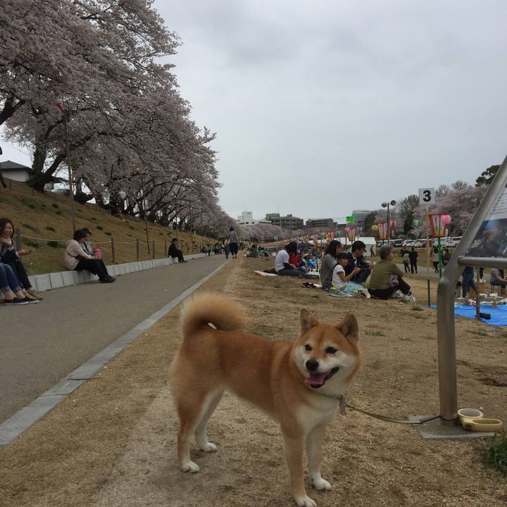 E2b1e5a9 8252 4a20 96f5 ebefd8b9e19c