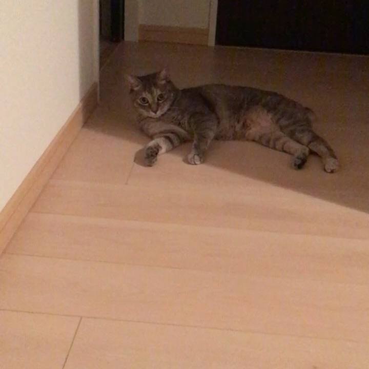 E2b2a928 c5a7 485e 86f5 041d9b898a2c