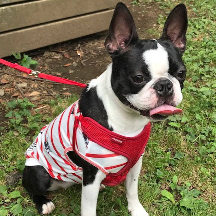 E2b36fa4 cf06 4039 bb93 569c208eeddc