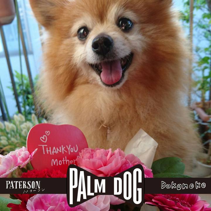 E2b37fd3 956b 4d4b 9378 806cc8b40921