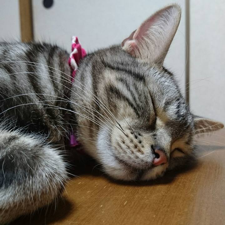 E2b3cbec 74b6 4728 89b9 464f399c7bcf