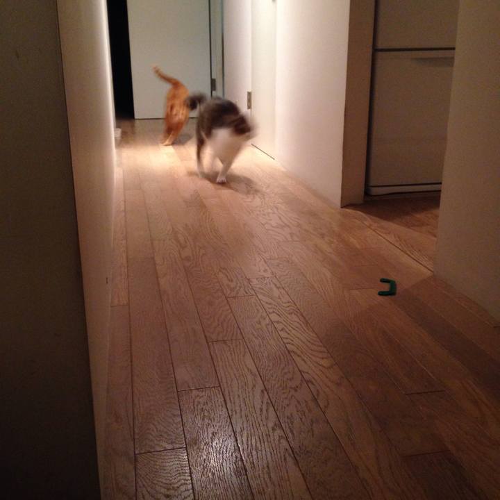 E2b429a5 7163 414e 8e4a 1ac84b181f8e