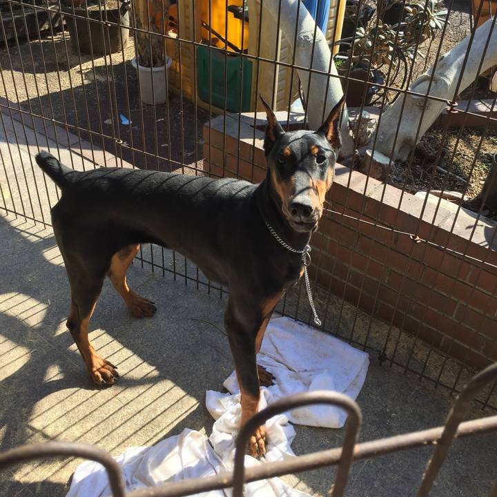 E2b5054e 5835 4730 b5ba 61a321f7606f