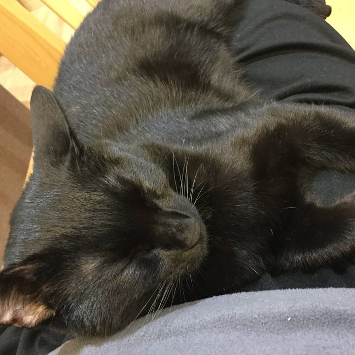 E2b54401 69a5 4cfb aa9e 8c37715b6d5f