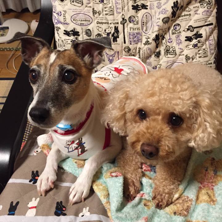 E2b6290a 051d 418c 960e e8f9397c78fa