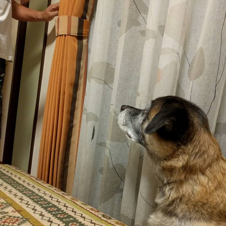 E2b62ffc 3467 4b3e acc4 fad8e65b50da