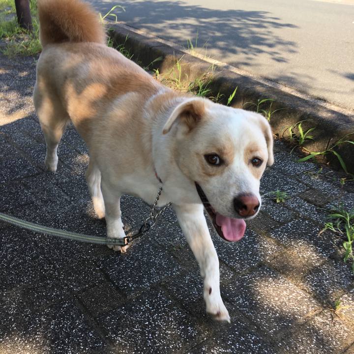 E2b732fb adaf 4635 a7ee 50ad1e64cd70