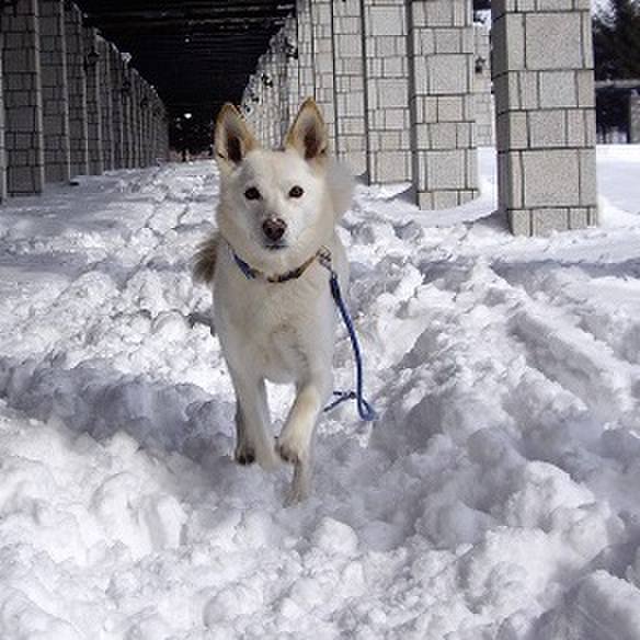 E2b769b4 89c6 4b40 b627 21194b2706dd