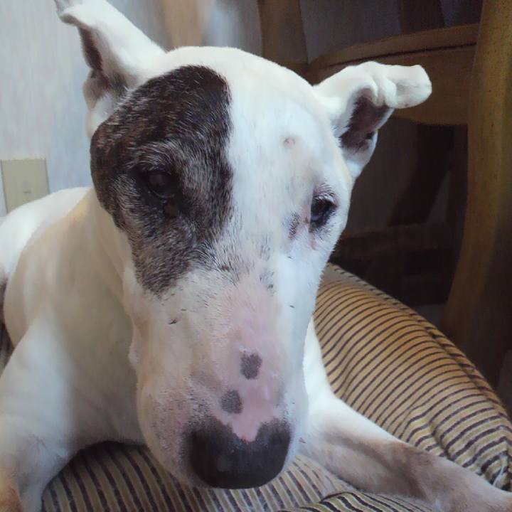 E2b77a87 6aba 4ada b05f 2cefc59f9023