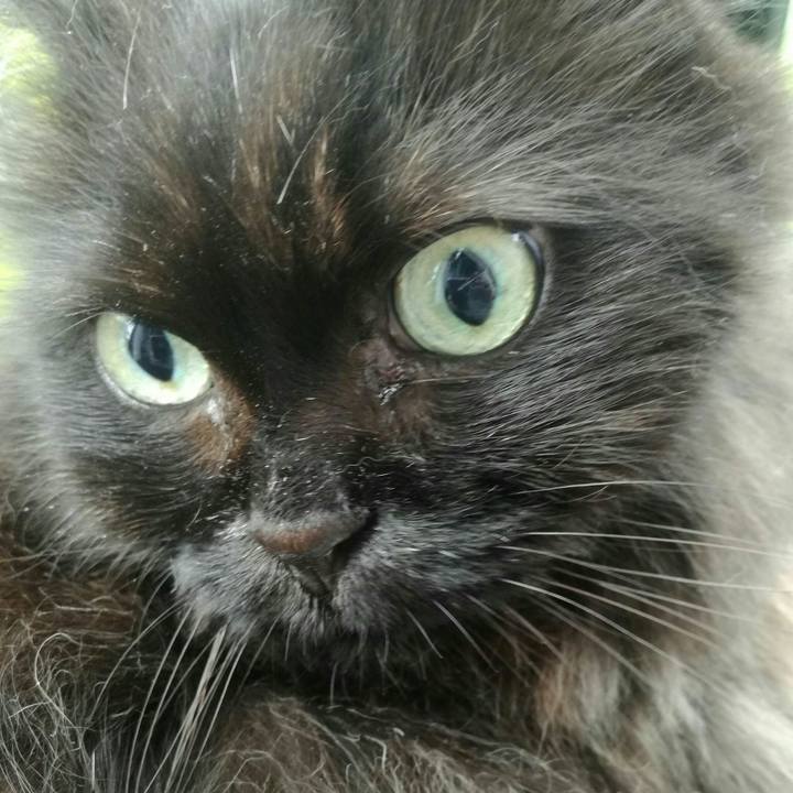 E2b846b7 f396 4500 90cf ac91b423abc4