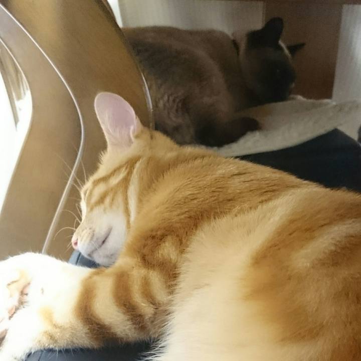 E2b85927 ffe5 4ff5 b2d3 544f8827ce08