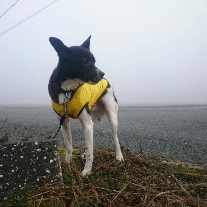 E2b959b9 9fe5 46b3 9637 ef1670501bd4