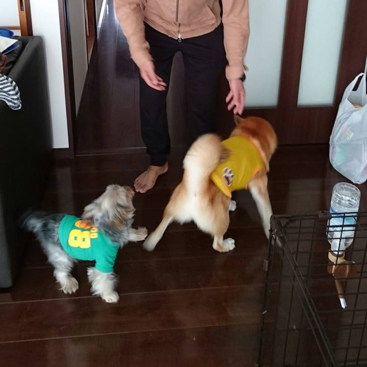 E2babc40 97c1 43a5 95c5 8dbe2488e0b0