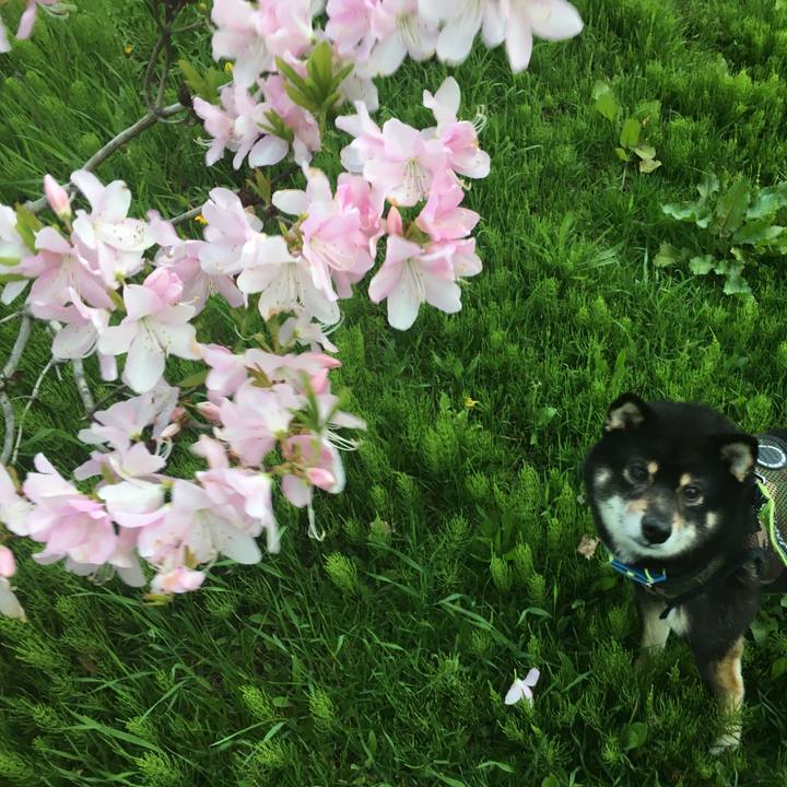 E2bb59dd c896 49a1 8745 b36300a92d54