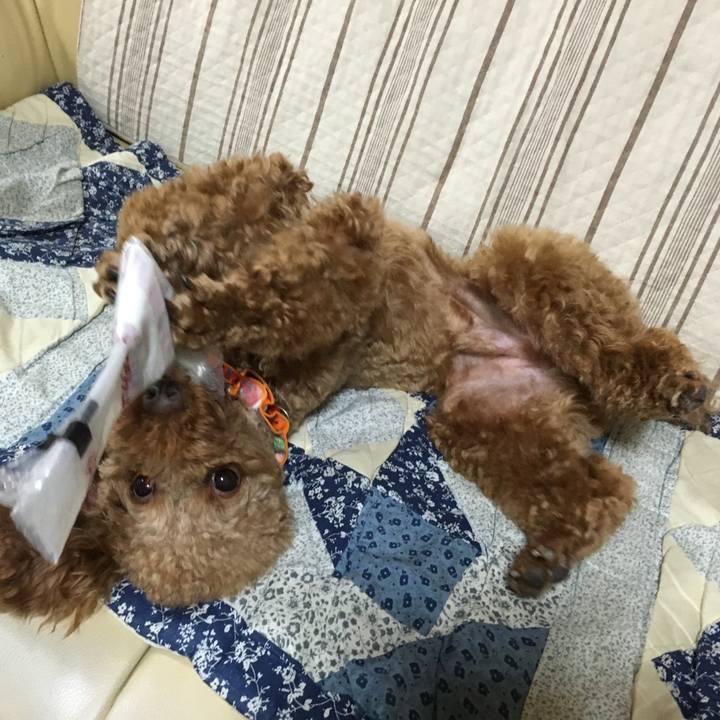 E2bb6e0f adfb 4107 88e9 9ba40dde50d6