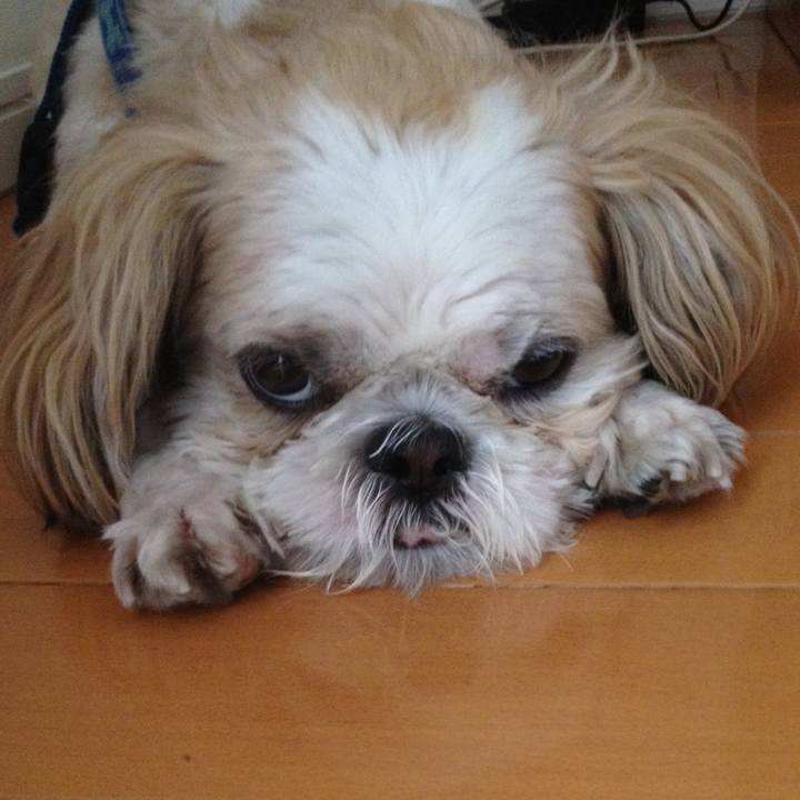 E2bb9202 7b20 471f 807a ea34d51fee30