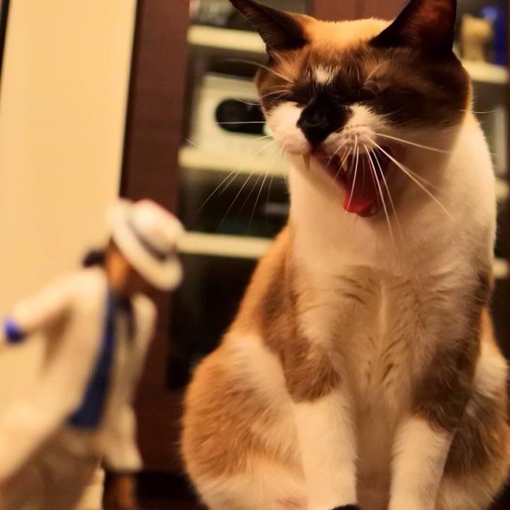 E2bbdfdd 92b1 4acf bdff 1129ca6a467d