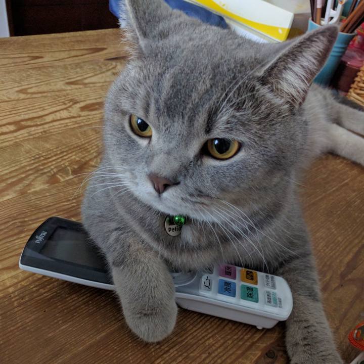 E2bbf50d 91bd 415e 99b0 545e56cd6670