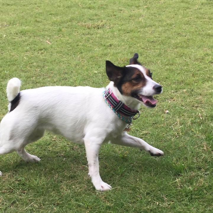 E2bcd224 c08b 4cbc ab6b 0133720a1a5a