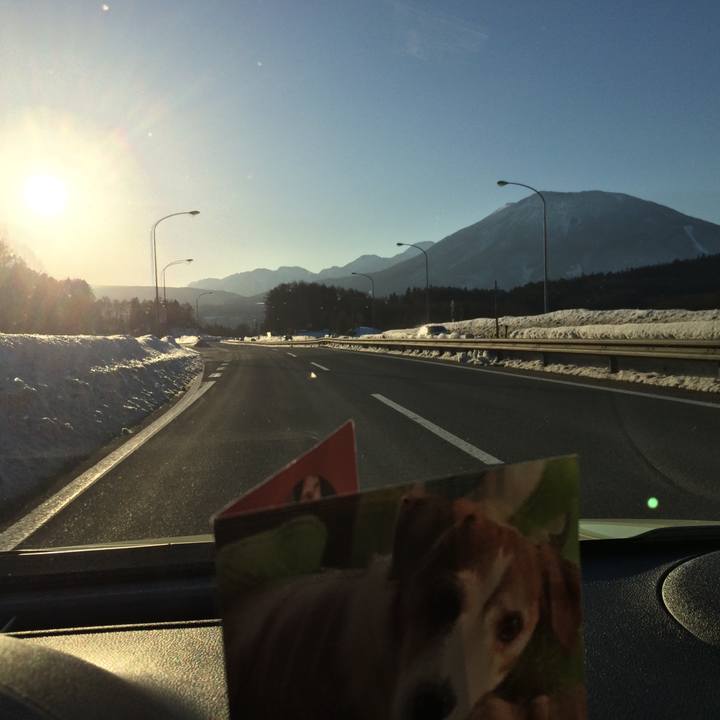 E2bcf73f df5b 4355 ba5e aa9a1bbcad84