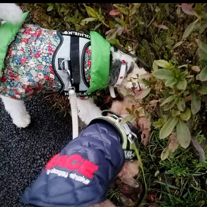 E2bd1e08 3c7e 41a2 9bcc 8878183ad5ef