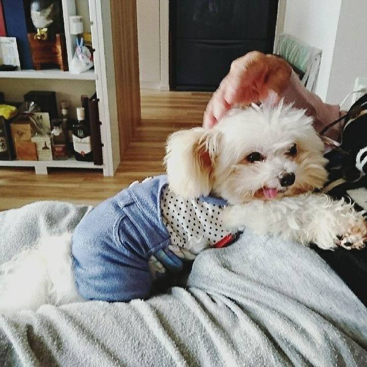 E2bd688a f5d4 45b3 a29c 04b8e6fd0c02