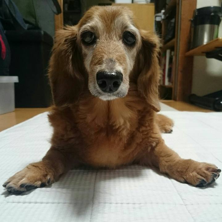 E2bd8071 5479 4e0a a550 27129c00a1b3