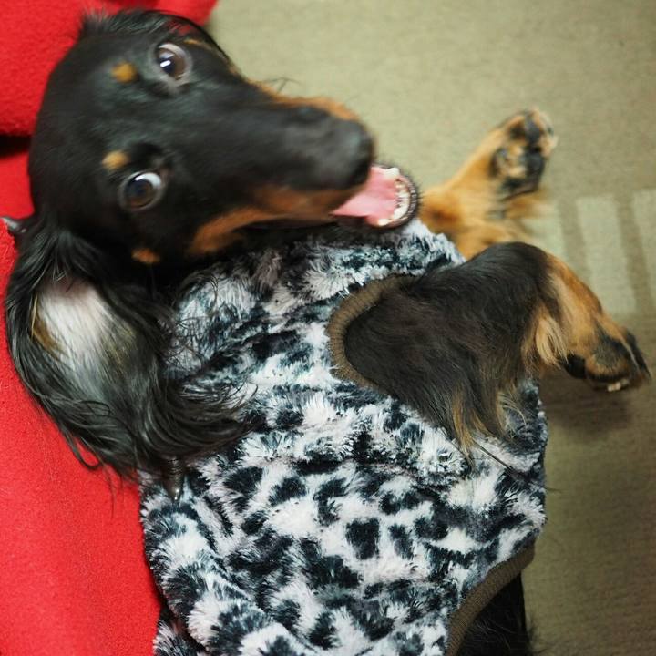 E2be9c20 6b9a 44db 82c5 eb54366aefd2