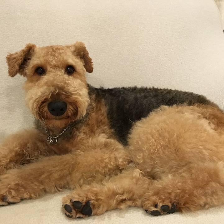 E2beb5f2 53f9 4bf9 bc2a 62fa2d87d40e