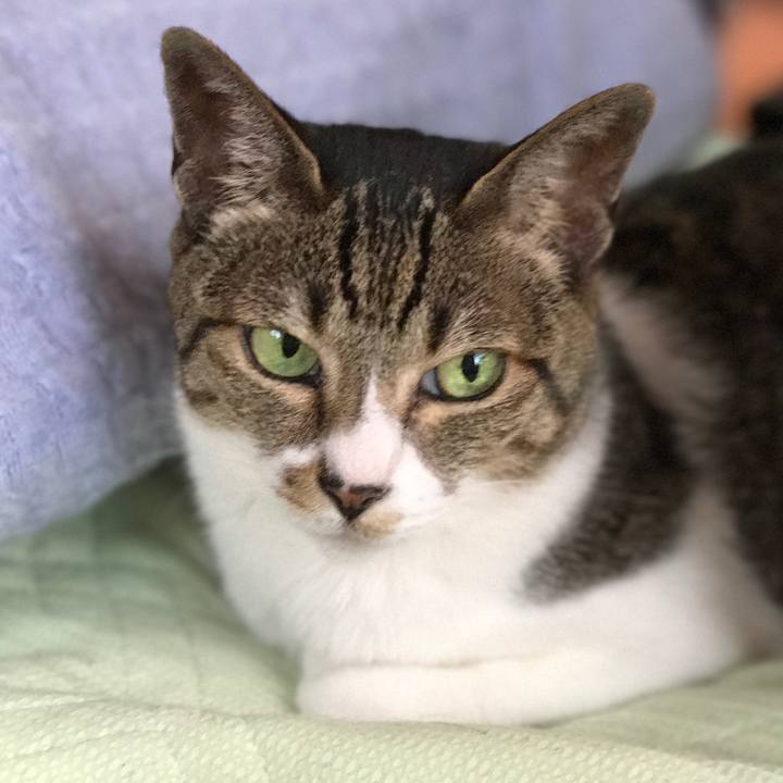 E2bf1762 98d9 4ecc a789 147e31d0a375