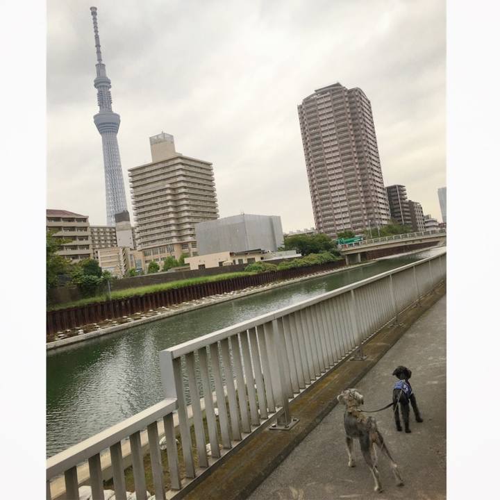 E2c00297 1c47 46b8 9004 5a9366373a3f