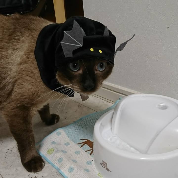 E2c05676 f839 4f15 b192 0b11317eda7c