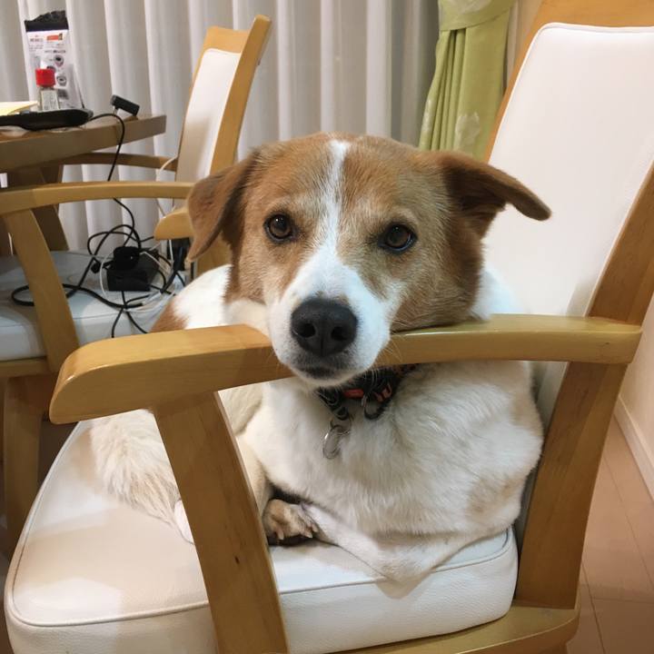 E2c08e74 5f34 4a8f 879b aa02264ba9a8