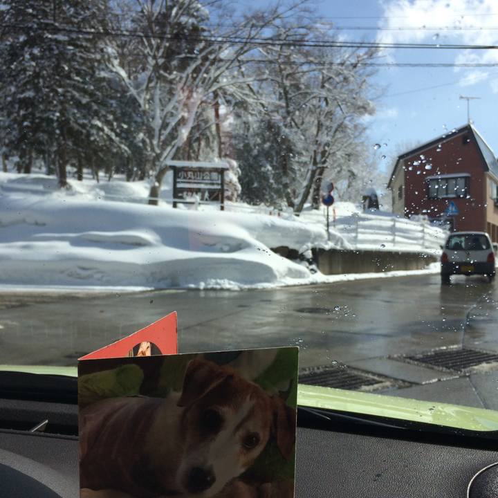 E2c0b7cb efe9 468f 8299 fc9c92f0577b