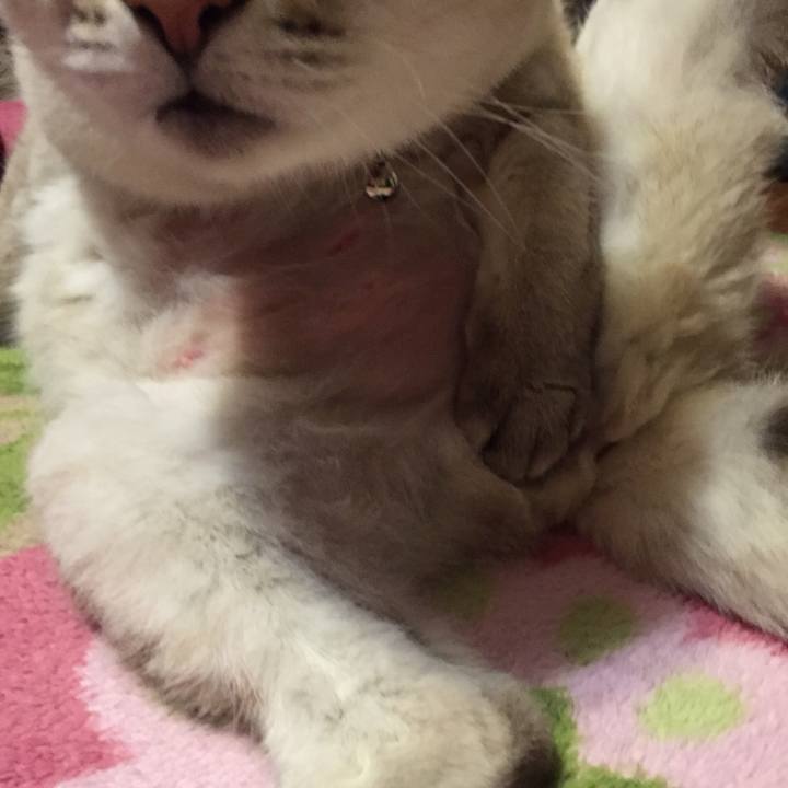 E2c0cb5f 7566 42ac 813c 709321a9e678