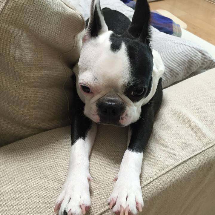 E2c0d19e f573 4471 8d53 7a82f4e13ea5