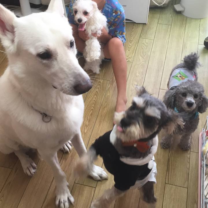 E2c12858 feee 4c4a 8656 fa9d2cbcfca6