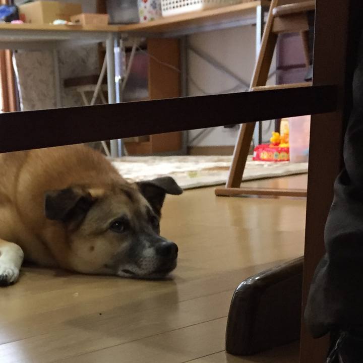 E2c18bad 3620 4961 a83f a9302d65749a