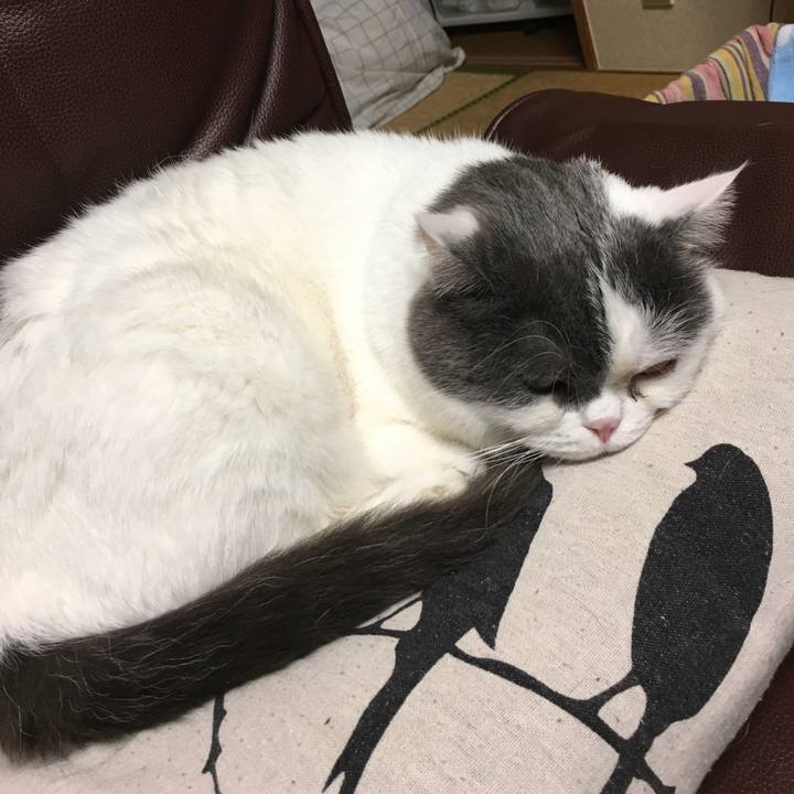 E2c1b5ae a711 422a bc34 82e54ac3d01b