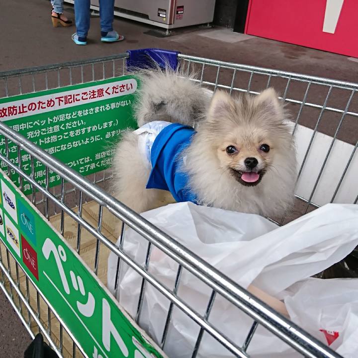 E2c1da62 d214 4cd4 a8a6 49a6ff6d6c68