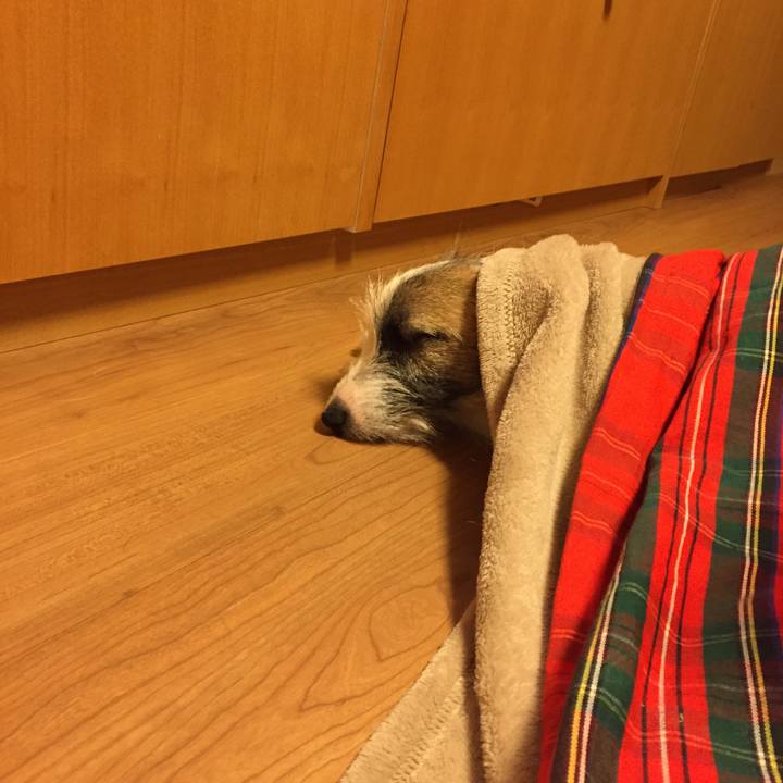 E2c1e05c f72b 4d1c 93ef e445225f8faa