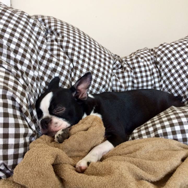 E2c1e821 58ff 4c57 b7c3 57baf00c0ccf