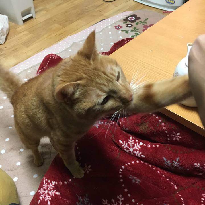 E2c22df9 a4bc 412d 96e0 e55205bc317b