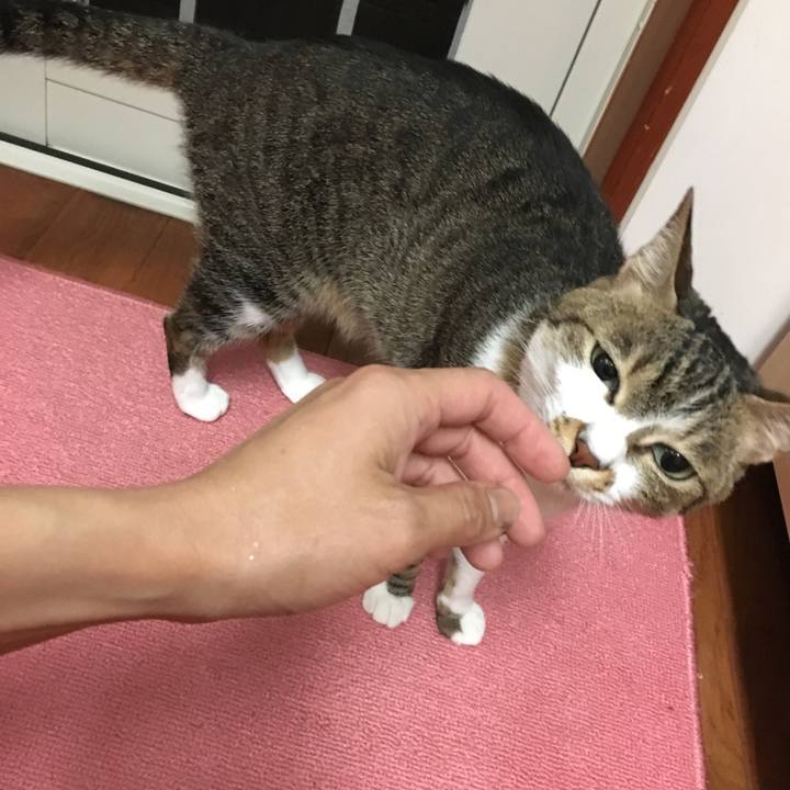 E2c254ea f154 421b 9cfc b8d90ea8e317