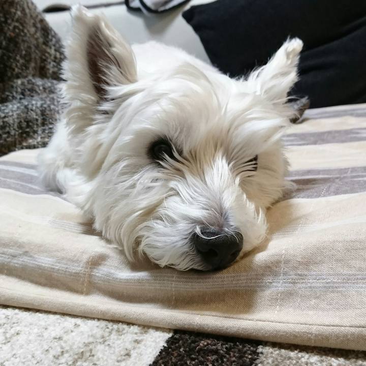 E2c29604 7923 4fcb a5dc 188208255562