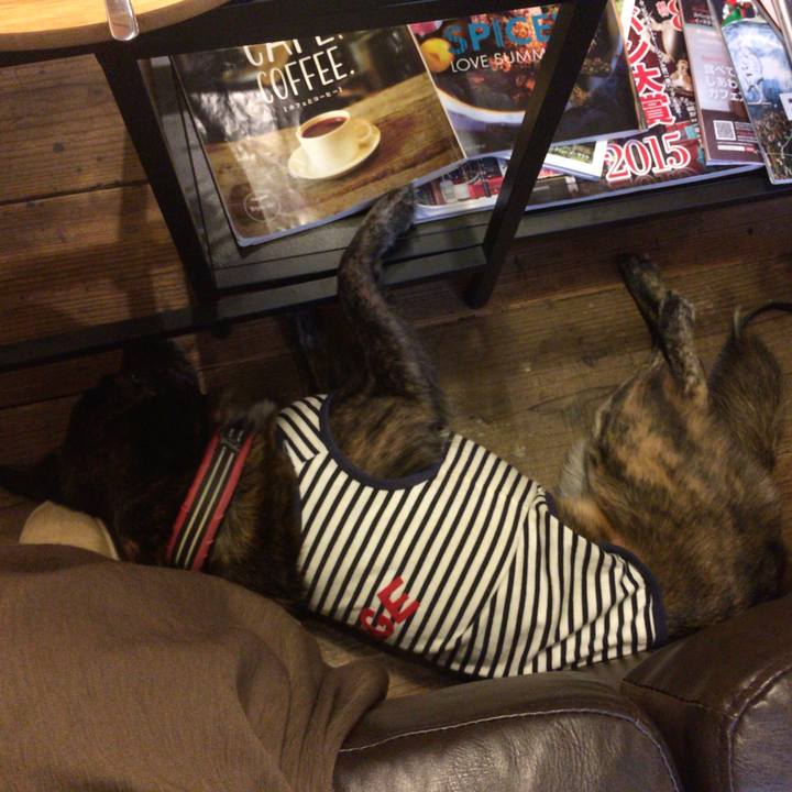 E2c2fc69 2476 450a bb34 7e3e67dc8ba6