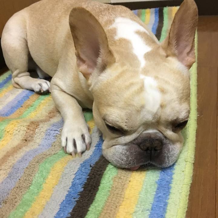 E2c3643e 84ae 4fab 86f1 4c491fc0b14f