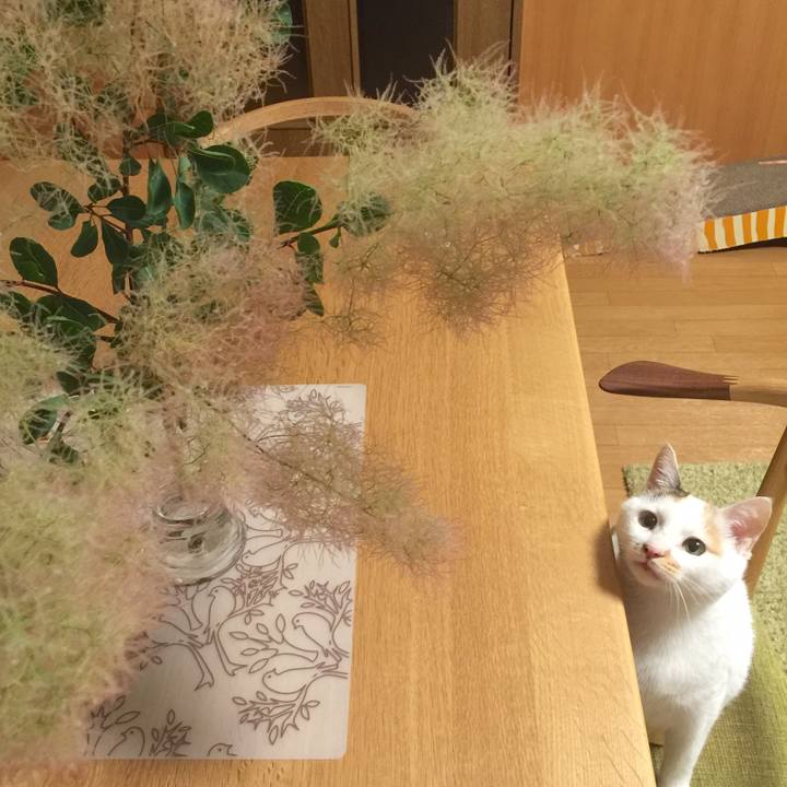 E2c364b2 f18f 4b97 b2a4 b7058008560a