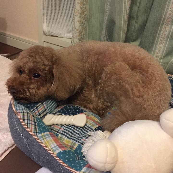 E2c3dcf3 61eb 44a5 b1f9 6edae7782a11