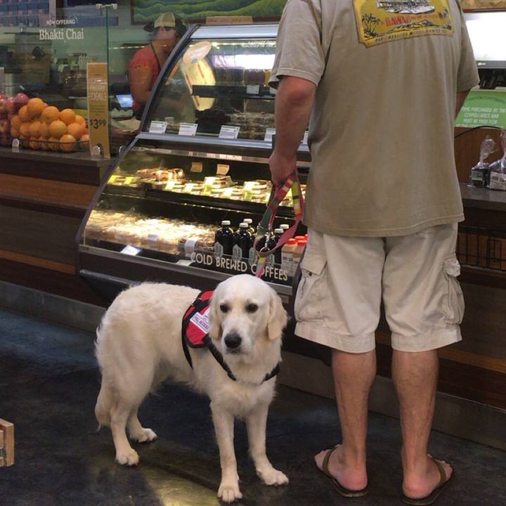 E2c45999 4c3c 4be5 9dc2 1f4a457b055d